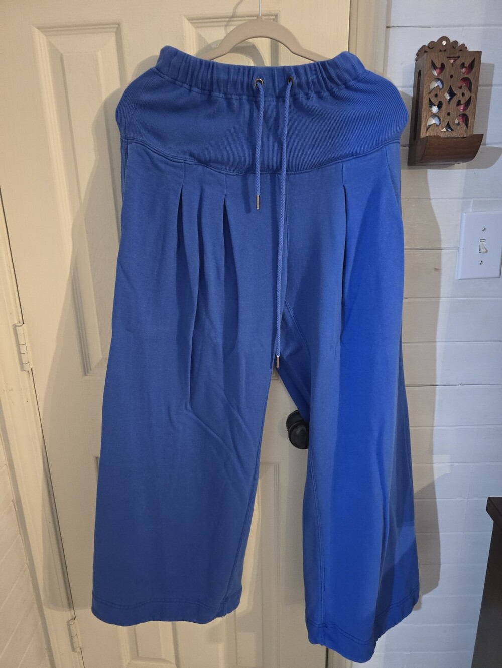 Free People Wide-Leg Drawstring Pants in Royal Blue